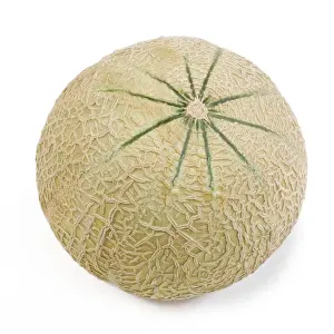 White Background Fruit Images Impressions: Melon - in studio