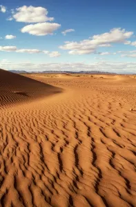 Moroccan Landscape Photography Impressions: MOROCCO - DUNES