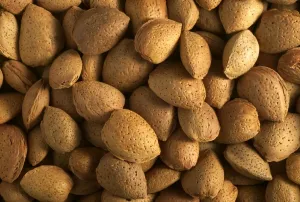 Edible Nuts Impressions: Almonds