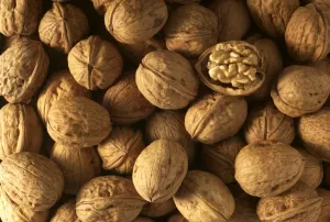Forest Landscape Images Impressions: Walnuts