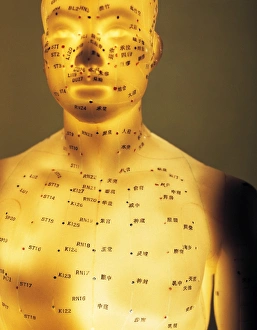 Impressions de Le modèle d'acupuncture : un modèle de corps humain illuminé marqué avec des points d'acupuncture (points étiquetés) et les meridiens (lignes colorées) Images datées de 2003 mai: Modèle d'acupuncture