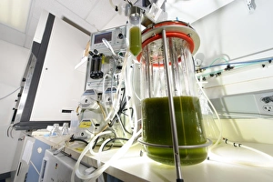 Images datées du 2 mai 2008: Fermentation des algues réacteur biologique