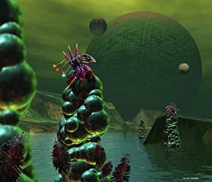 Extraterrestrial Life Forms Impressions: Alien creatures
