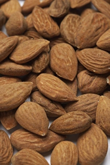 Edible Nuts Impressions: Almonds