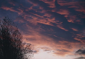 Images datées de 1986: Nuages altocousses