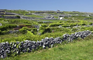 Burren Landscape Impressions: Ancient limestone fields