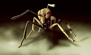 Compound Eyes Impressions: Ant, computer artwork