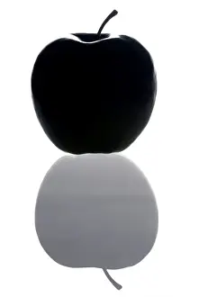 Impressions de Image informatique d'une pomme avec sa silhouette ou son reflet en dessous de l'image Images datées de 2008 décembre: Apple