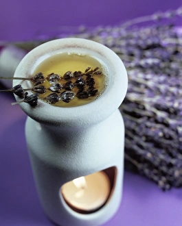 Impressions de L'Aromathérapie utilise du lavande séchée (Lavendula sp.) et son huile essentielle dans un brûleur à essence. Une touche de lavande est visible en arrière-plan Images datées de 2003 avril: Aromatherapy