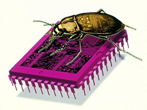 Images datées de 1998 29 mai 1998: L'œuvre d'art du bug millénaire avec un scarabée sur une puce.