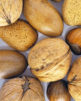 Assorted Nuts Impressions: Assorted nuts