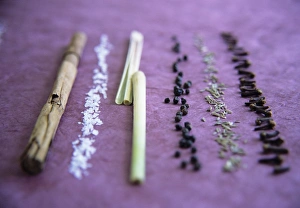 Cinnamon Spice Impressions: Assorted spices