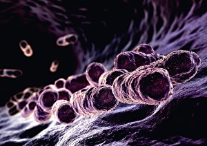 Bacterial Cell Structure Impressions: Bacteria, computer artwork