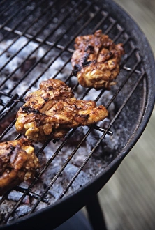 Grilled Poultry Impressions: Barbeque