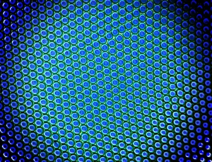Polarised Light Micrograph Impressions: Beetle compound eye, light micrograph