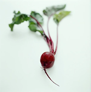 Beetroot Nutrition Impressions: Beetroot