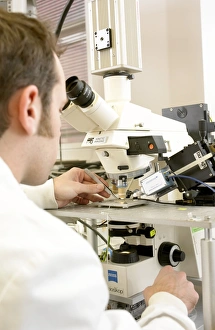 Microscope Examination Impressions: Biologist using a microscope