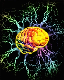 Neuroscience Computer Graphics Impressions: Brain activity