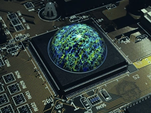 Impressions de Cerveau sur un champ Images datées de 2003 mars: Cerveau sur un champ
