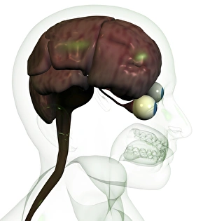 Brain Computer Artwork Impressions: Brain