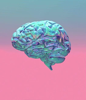 Brain Computer Artwork Impressions: Brain