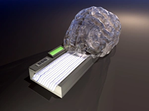 Brain Function Illustration Impressions: Brain function, conceptual artwork