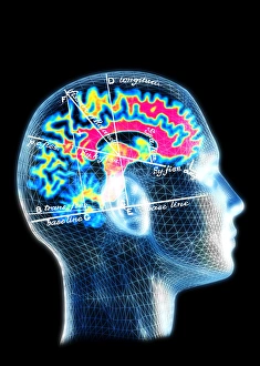 Impressions de Carte du cerveau. Artwork informatique conceptuel d'un cerveau avec une carte de ses caractéristiques anatomo-morphologiques superposée Images datées de 2003 janvier: Carte du cerveau
