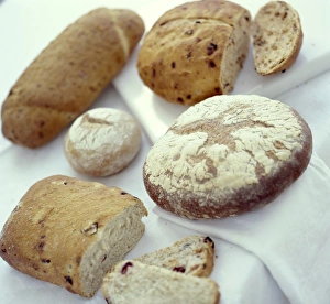 Images datées de 2003 juin: Bread