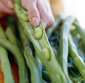 Kitchen Preparation Techniques Impressions: Broad beans