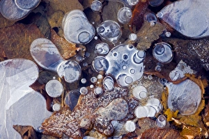 Greenhouse Gas Emissions Impressions: Bubbles of methane