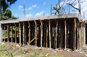 Sustainable Building Materials Impressions: Building construction