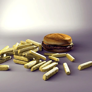 Impressions de Le burger et les frites, œuvre d'art informatique Images datées de 2005 août: Le burger et les frites, œuvre d'art informatique