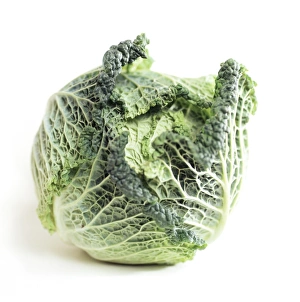 Fresh Green Vegetables Impressions: Cabbage