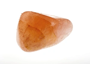 Impressions de Couperin de carnelian (également appelé cornelien) sur un fond blanc Images datées de 2011 août: Carnelia