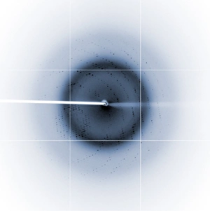 Electron Microscopy Images Impressions: Chikungunya virus diffraction pattern