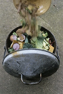 Environmentally Friendly Practices Impressions: Composting