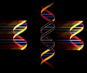 Genetic Engineering Impressions: Computer artwork of genetic engineering