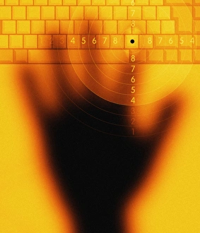 Computer Crime Prevention Impressions: Computer crime