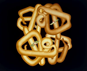 Red Blood Cell Anatomy Impressions: Computer graphics of haemoglobin molecule