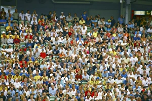 Football Stadium Crowd Impressions: Crowd of spectators