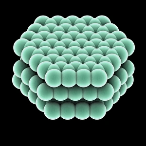 Hexagonal Carbon Lattice Impressions: Crystal structure of graphite, artwork