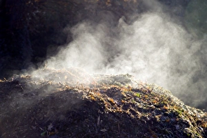 Impressions de La décomposition. L'eau de vapeur montant du matériau organique en décomposant sur un tas de compost actif et chaud Images datées de 2006 août: Decomposition