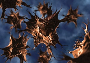 Human Body Biology Impressions: Dendritic cell, computer artwork