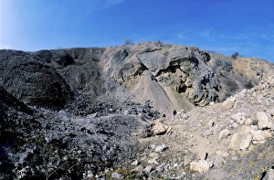 Devonian Period Impressions: Devonian layer
