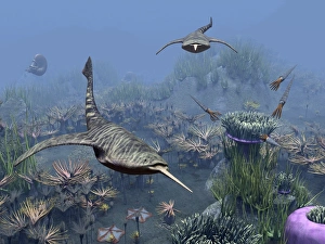 Ancient Sea Creatures Impressions: Devonian sea, artwork