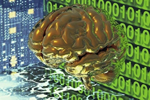 Impressions de Cerveau numérique. Artwork informatique conceptuel d'un cerveau humain virtuel avec des panneaux de circuits et des nombres binaires Images datées de 2003 avril: Cerveau numérique