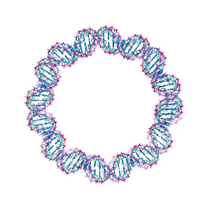 DNA Molecular Structure Impressions: DNA loop, molecular model