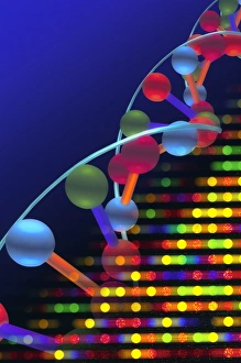 Double Helix Structure Impressions: DNA microarray and double helix