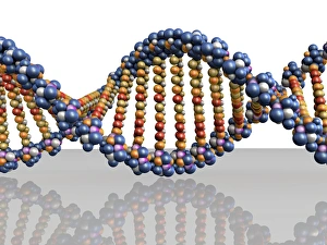 DNA Double Helix Impressions: DNA molecule, computer artwork
