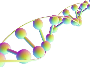 Molecule à ADN, œuvre dart informatique